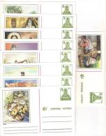 Yugoslavia 1996. Complete Set Of The 16th Serial Of The Postal Stationery Card ,mint,9 Pcs. - Interi Postali