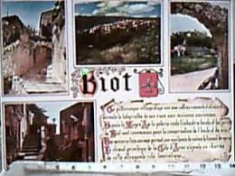 FRANCE  BIOT  VES  VB1982 DZ736 - Biot