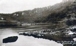 Beatiful   Old  Post Card    "  The Caldwell  Rocks,  Symond's  Yat  " - Birmingham