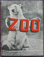 Zoo - Andere & Zonder Classificatie