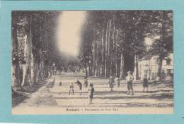 76  -  AUMALE  -  Promenade  Du  Petit  Mail - TRES  BELLE CARTE ANIMEE  - - Aumale