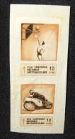 1967 ERINNOFILIA - XXX CAMPAGNA NAZIONALE ANTITUBERCOLARE 2 X 10 LIRE - Revenue Stamps