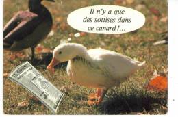 CPM  Il N'y A Que Des Sottises Dans Ce Canard - Geklede Dieren