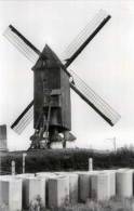 WEVELGEM (W.Vl.) - Molen/moulin - Fraaie Opname V.d. Verdwenen Molen Devlies Of Molen Debrabandere - Maxikaart - Wevelgem