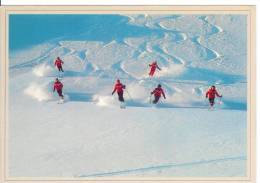 Val D´Anniviers - Les Joies De La Poudreuse - Ski - Anniviers