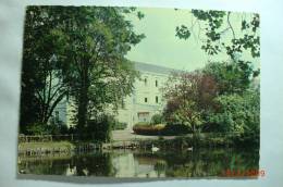 D 59 - Hôtel Des Thermes De Saint Amand Les Eaux - Vue Sur L'étang Aux Cygnes - Saint Amand Les Eaux