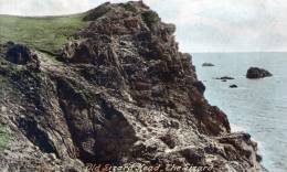 Beatiful    Old  Post Card    "  Old   Lizard  Head,  The Lizard  " - Autres & Non Classés