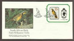 South Africa Foundation FDC 5 - 1990 - Birds Miniature Sheet - Cartas & Documentos