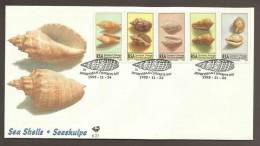 South Africa FDC 6.27 1995 Sea Shells - Brieven En Documenten