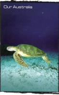 Green Turtle, Great Barrier Reef , QLD, Australia -  Avant COR79.0611 Unused - Tortues