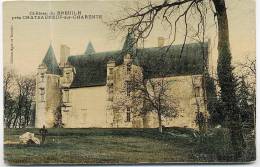 Delcampe - 16  CHATEAUNEUF SUR CHARENTE - Château Du Breuilh  Gaufrée 2 Scans - Chateauneuf Sur Charente