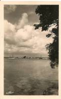 CPA-1950-29-L ILE TUDY-VUE DE LOCTUDY-TB E - Ile Tudy