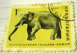 Bulgaria 1966 Sofia Zoo Animals Elephany 1s - Used - Usados