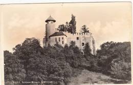 BR37471 Schloss Birseck Ermitage    2 Scans - Andere & Zonder Classificatie