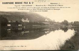 Mareuil Sur Ay - Vignobles Champagne Bouché - Mareuil-sur-Ay