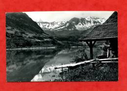 * Am Sarnersee Mit Berneralpen-1957(Carte Expédiée De SACHSELN) - Sachseln