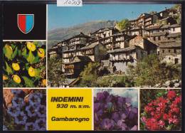 Indemini - 930 M (!) Gambarogno Pittoresco - Fiori ; Form. 10 / 15 (10´159) - Gambarogno