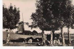 AALSMEER 11  STOMMEERPOLDER MET WATERMOLEN (CARTE PHOTO) - Aalsmeer