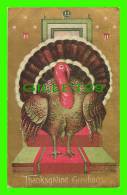 THANKSGIVING GREETINGS - BIG TURKEY IN CLOSE UP - WRITTEN - - Thanksgiving