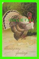 THANKSGIVING GREETINGS - BIG TURKEY - TRAVEL IN 1908 -  3/4 BACK - EMBOSSED - - Thanksgiving