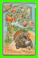 THANKSGIVING  JOYS - TURKEY  WITH APPLES TREE  - SERIES No 7  - TRAVEL IN 1911 - - Giorno Del Ringraziamento