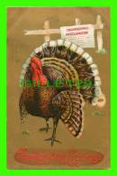 THANKSGIVING  GREETINGS - TURKEY - THANKSGIVING PROCLAMATION - EMBOSSED - TRAVEL  IN 1909 - - Thanksgiving