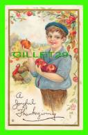 A JOYFUL THANKSGIVING - A BOY WITH APLLES & TURKEY - TRAVEL - SERIES No 252 D - - Giorno Del Ringraziamento