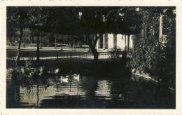 EVORA   Jardim Publico 2 Scans PORTUGAL - Evora