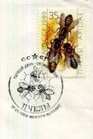 ABEILLE / BIENE / BEE / OBLITERATION TEMPORAIRE  RUSSIE URSS - Honeybees