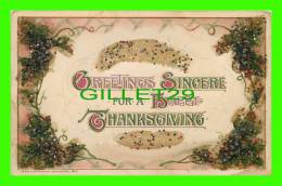 GREETINGS SINCERE FOR A HAPPY THANKSGIVING - SUPER SPARKLES  - 1913, DESIGN BY JOHN WINSCH  -  TRAVEL - - Thanksgiving