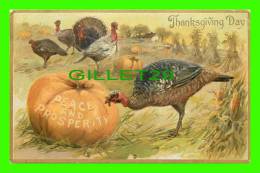 THANKSGIVING DAY - PUMPKINS - TURKEYS - PEACE AND PROSPERITY - TRAVEL IN 1908 RAPHAEL TUCK & SONS - - Thanksgiving