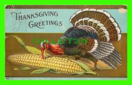 THANKSGIVING  GREETINGS - TURKEY HEATING CORN - TRAVEL IN 1909 - 3/4 BACK - EMBOSSED - - Giorno Del Ringraziamento