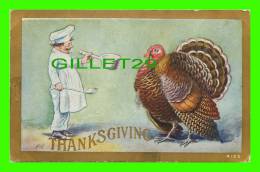 THANKSGIVING - A CHIEF COOKE GIVE SOUP TO A TURKEY  - WRITTEN - 3/4 BACK - - Giorno Del Ringraziamento