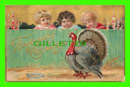 THANKSGIVING GREETINGS - 3 CHILDREN LOOK AT A TURKEY - TRAVEL IN 1909 - SERIES No 1 - EMBOSSED - - Giorno Del Ringraziamento