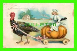 THANKSGIVING DAY - COOK ON A PUMPKIN PULL BY A TURKEY - TRAVEL IN 1907 - EMBOSSED - RAPHAEL TUCK & SONS - SERIES No - Thanksgiving