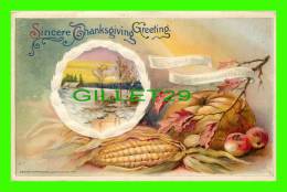 SINCERE THANKSGIVING GREETING - PUMPKINS, CORN, APPLES - DESIGN, 1911, JOHN WINSCH - WRITTEN - - Thanksgiving