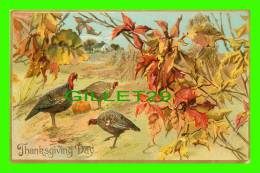 THANKSGIVING DAY - TURKEYS, PUMPKIN - TRAVEL IN 1908 - RAPHAEL TUCK & SONS - SERIES No 123 - - Giorno Del Ringraziamento