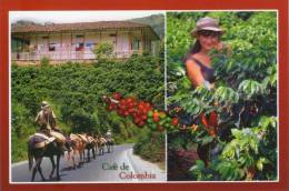 Lote PEP262, Colombia, Postal, Postcard, Cafe De Colombia, Coffee - Colombia