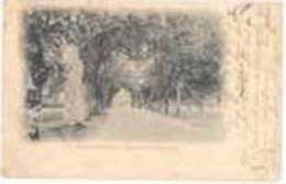 Parc D´ardenne, Avenue Des Charmes PRECURSEUR 1904 A IDENTIFIER  HOUYET - Houyet
