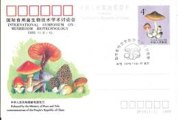 ENTIER / STATIONNARY : INTERNATIONAL SYMPOSIUM ON MUSHROOM BIOTECHNOLOGY (CHAMPIGNONS) _ 06->10/11/1989 - Storia Postale