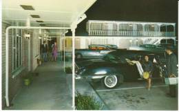 Columbia MO Missouri, Stephens Motel Lodging, Great Auto Fashion, C1950s Vintage Postcard - Columbia