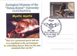 ANIMAUX,BAT,CHAUVE-SOURIS ,SPECIAL POSTCARD, STAMPS,OBLITERATION CONCORDANTE,ROMANIA,2007 - Bats