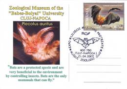 Delcampe - ANIMAUX,BAT,CHAUVE-SOURIS ,SPECIAL POSTCARD, STAMPS,OBLITERATION CONCORDANTE,ROMANIA,2007 - Fledermäuse