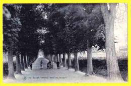 * Sint Truiden - Saint Trond (Limburg) * (SBP, Nr 18) Allée Des Soupirs, TOP CPA, Arbres, Enfants, Animée, Rare - Sint-Truiden