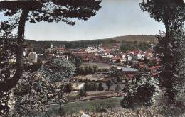 Cpsm Le Chambon Sur Lignon, Vue Générale - Le Chambon-sur-Lignon