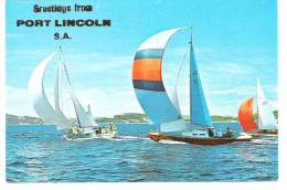 Australia - Port Lincoln - Sailing Boat - Segelboot - - Andere & Zonder Classificatie