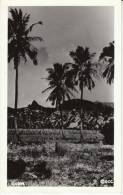 Guam, Buildings And Farm(?) On C1940s/50s Vintage Real Photo Postcard - Guam