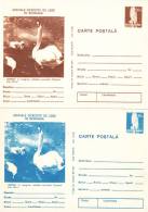 BIRD,SWAN,OWL,2X POSTCARD,POSTAL STATIONARY,ENTIER POSTAUX,1977,ROMANIA - Cygnes