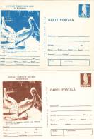 BIRD,PELICAN,OWL,2X POSTCARD,POSTAL STATIONARY,ENTIER POSTAUX,1977,ROMANIA - Pelikanen