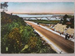 Plougastel, Vue Générale Sur Brest Et Le Pont De Plougastel - Daoulas